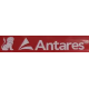 Antares Orion Пензлик флейцевий 10 (100x19 мм)