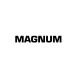 Magnum пластифікатор протиморозний (5 л)
