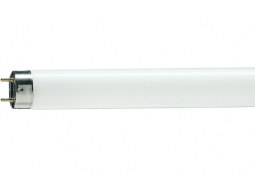 PHILIPS Лампа люмінесцентна. 18W/54 G13 (холодне світло)