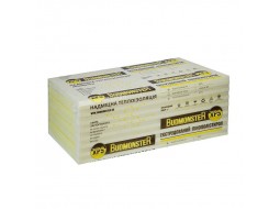Пінополістирол BudMonster 1200x550x20 мм