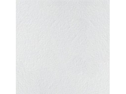 Підвісна стеля Armstrong Плита Retail Tegular 600x600x14 мм