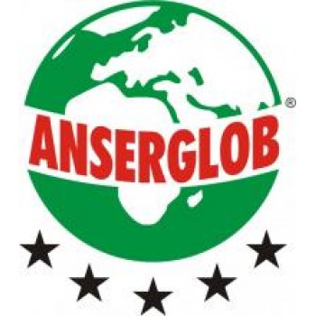 Anserglob Сетка штукатурная стекловолоконная 6x5 мм (1x50 м) 145 г/м2 белая (рул)